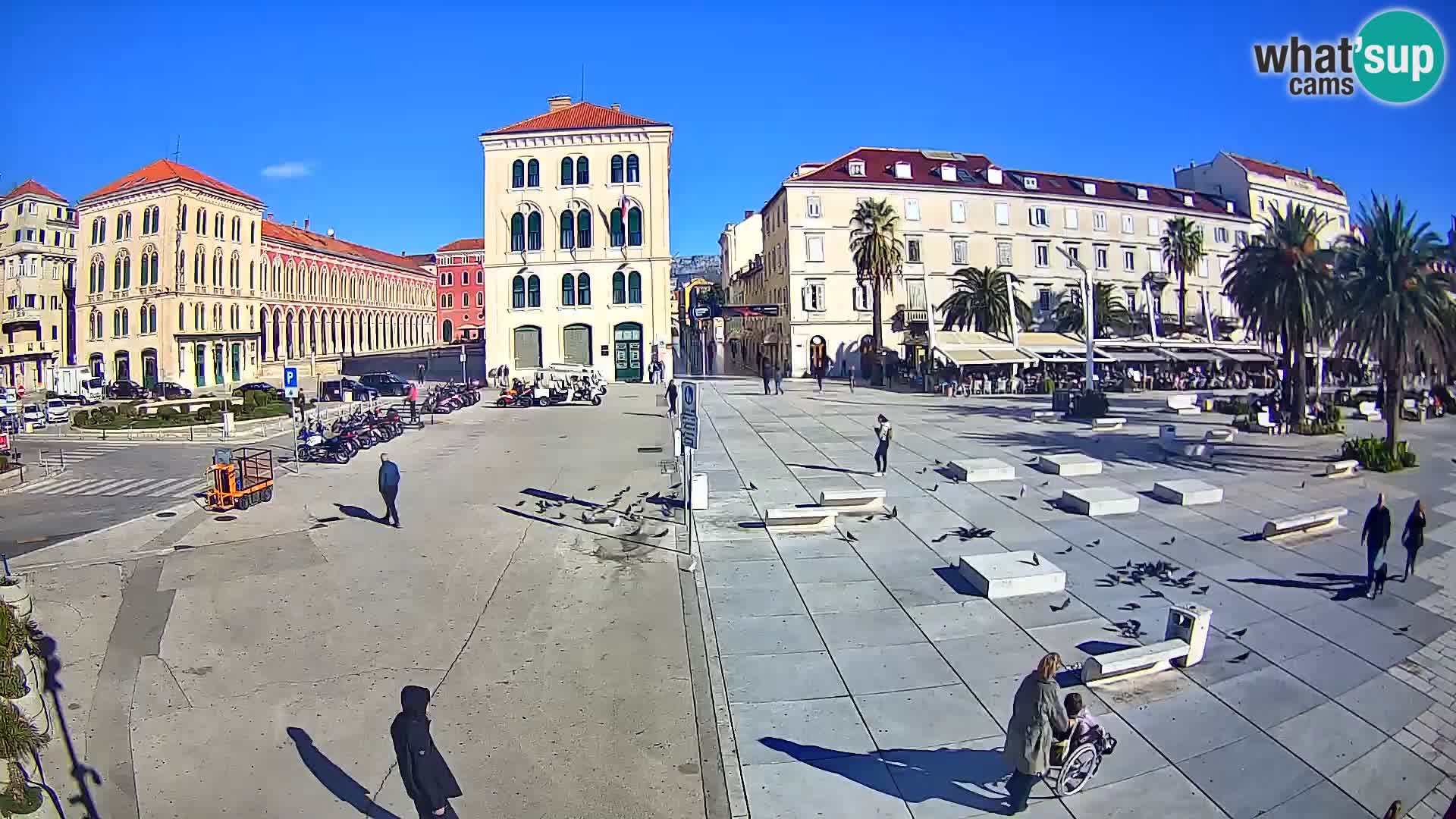 Webcam Split Riva – Prokurative | Trg Republike