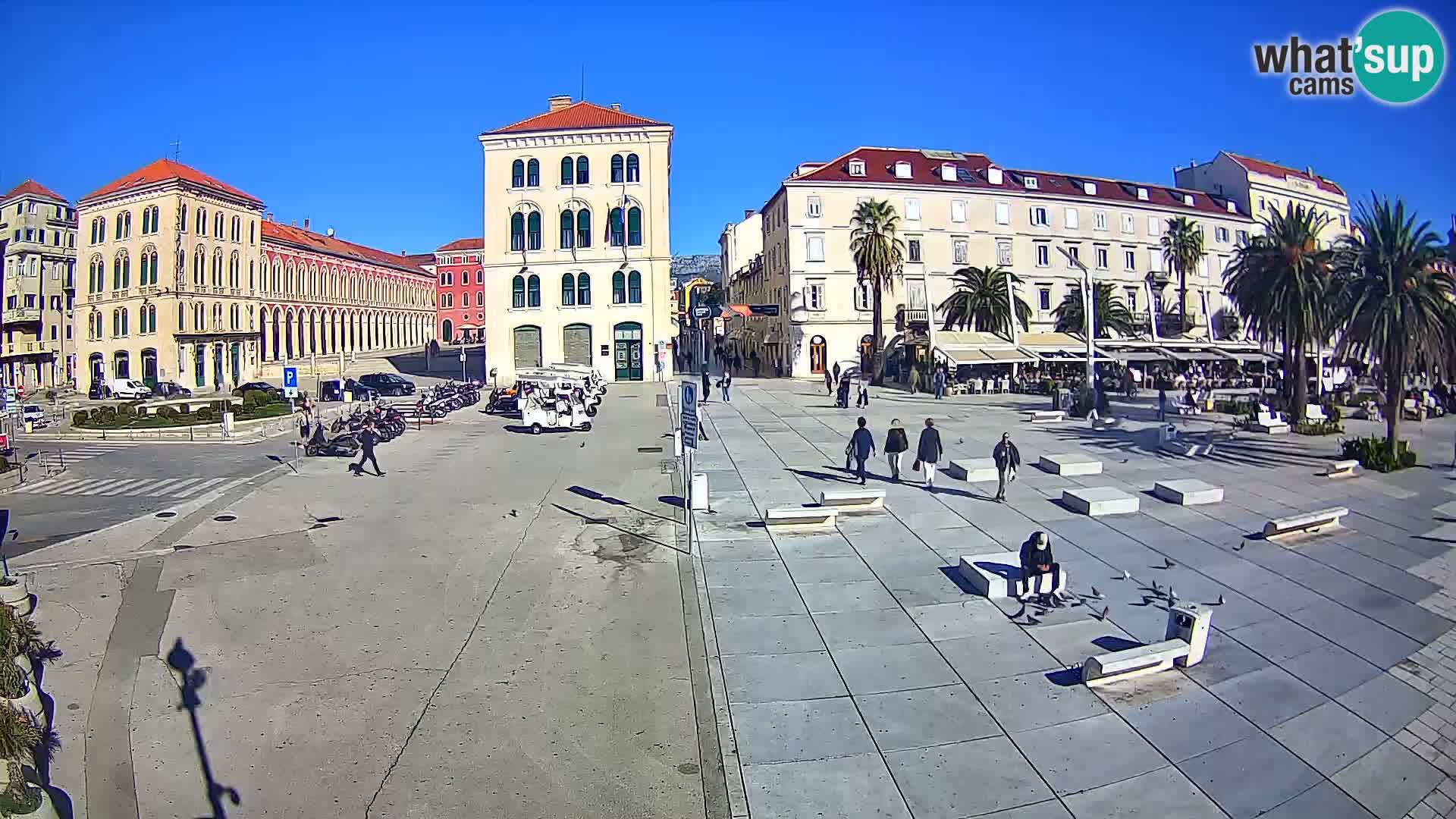 Webcam Split Riva – Prokurative | Trg Republike
