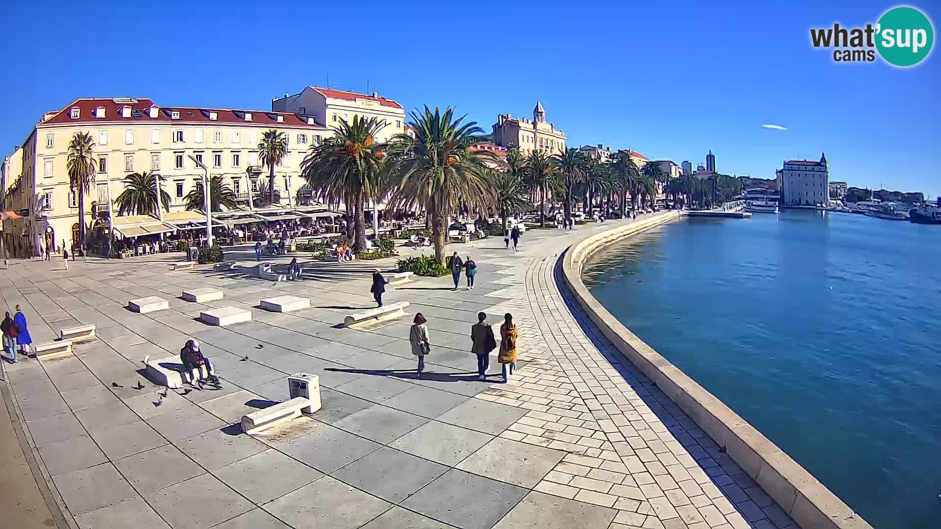 Webcam Split Riva – Prokurative | Trg Republike
