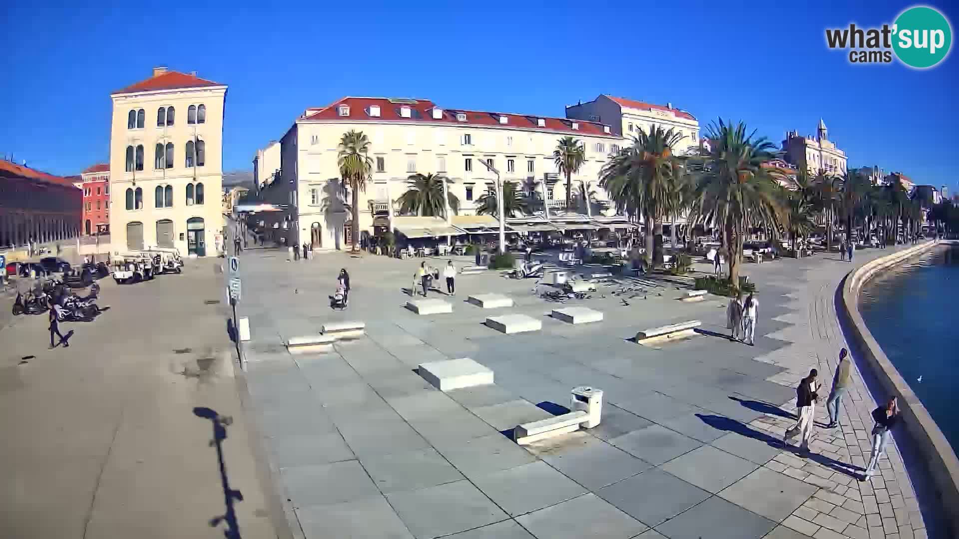 Webcam Split Riva – Prokurative | Trg Republike