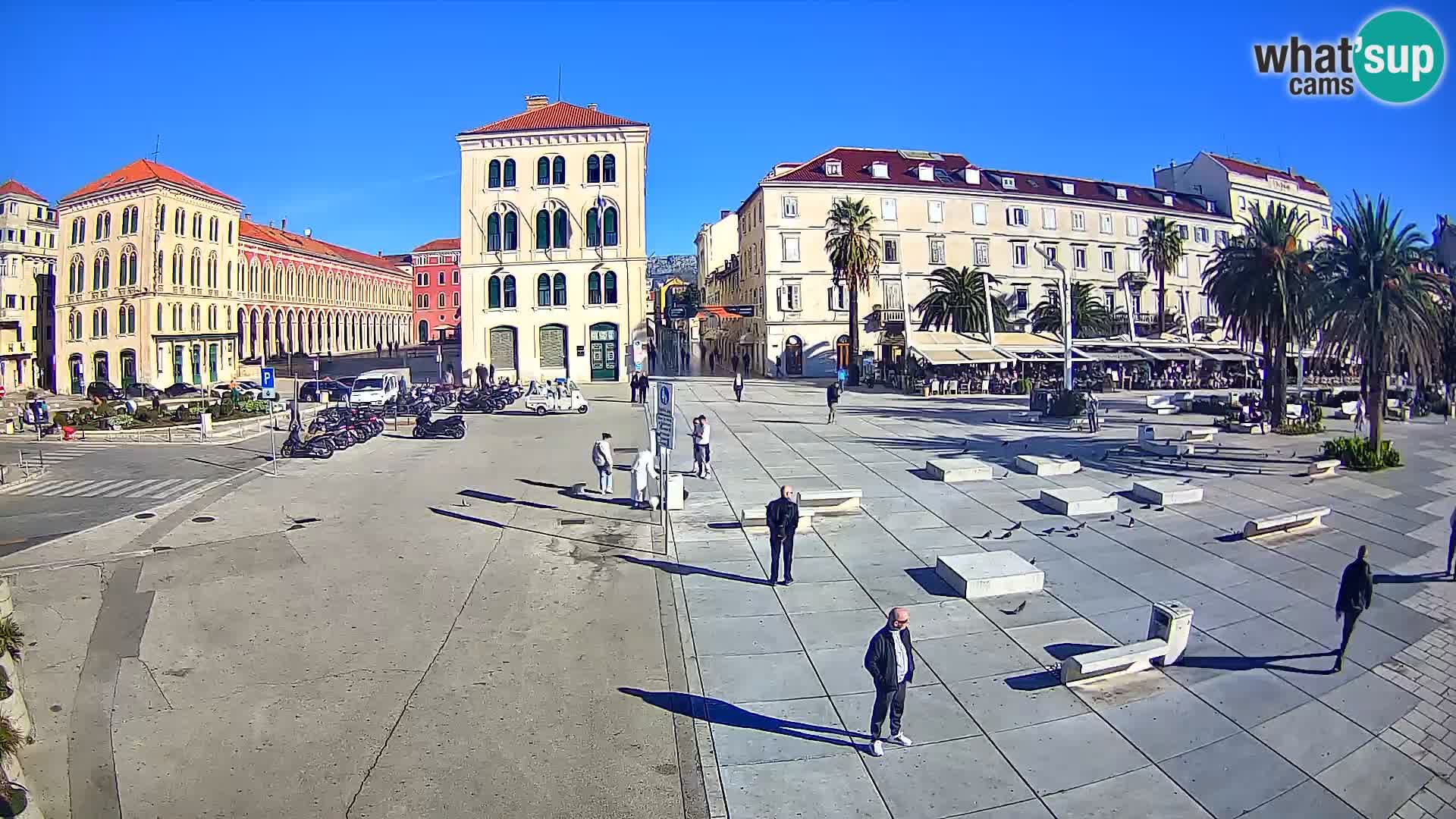 Webcam Split Riva – Prokurative | Trg Republike