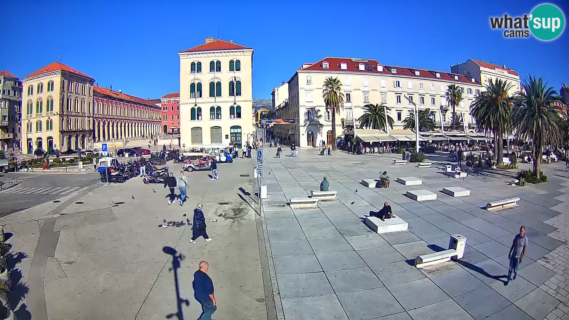 Webcam Split Riva – Prokurative | Trg Republike