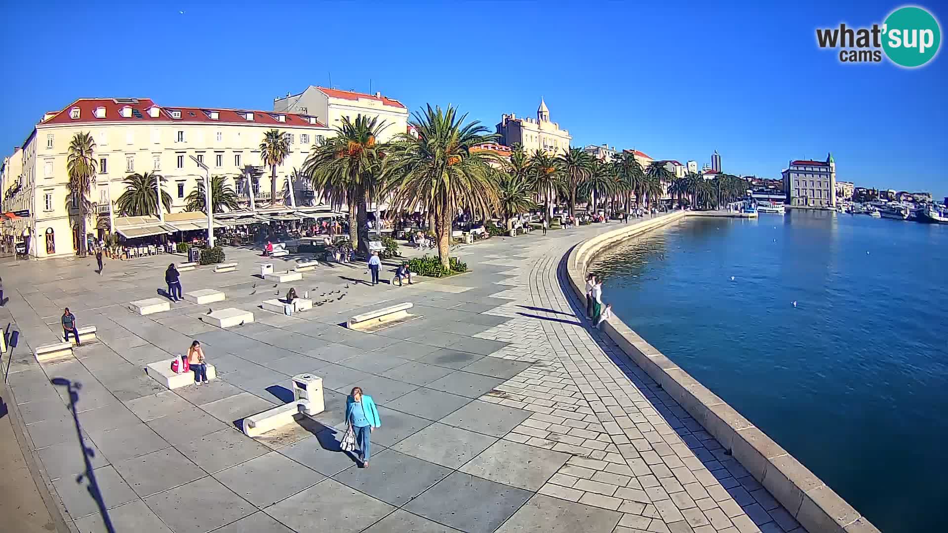 Webcam Spalato Riva – Prokurative | Piazza della Republika