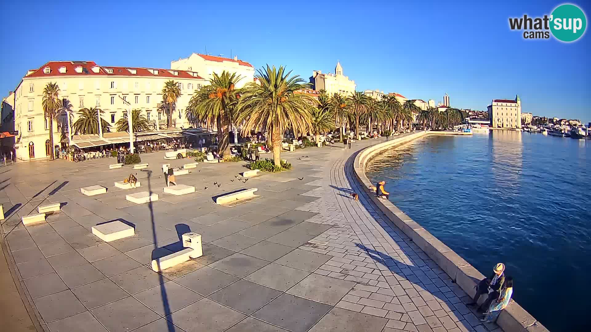 Webcam Split Riva – Prokurative | Trg Republike