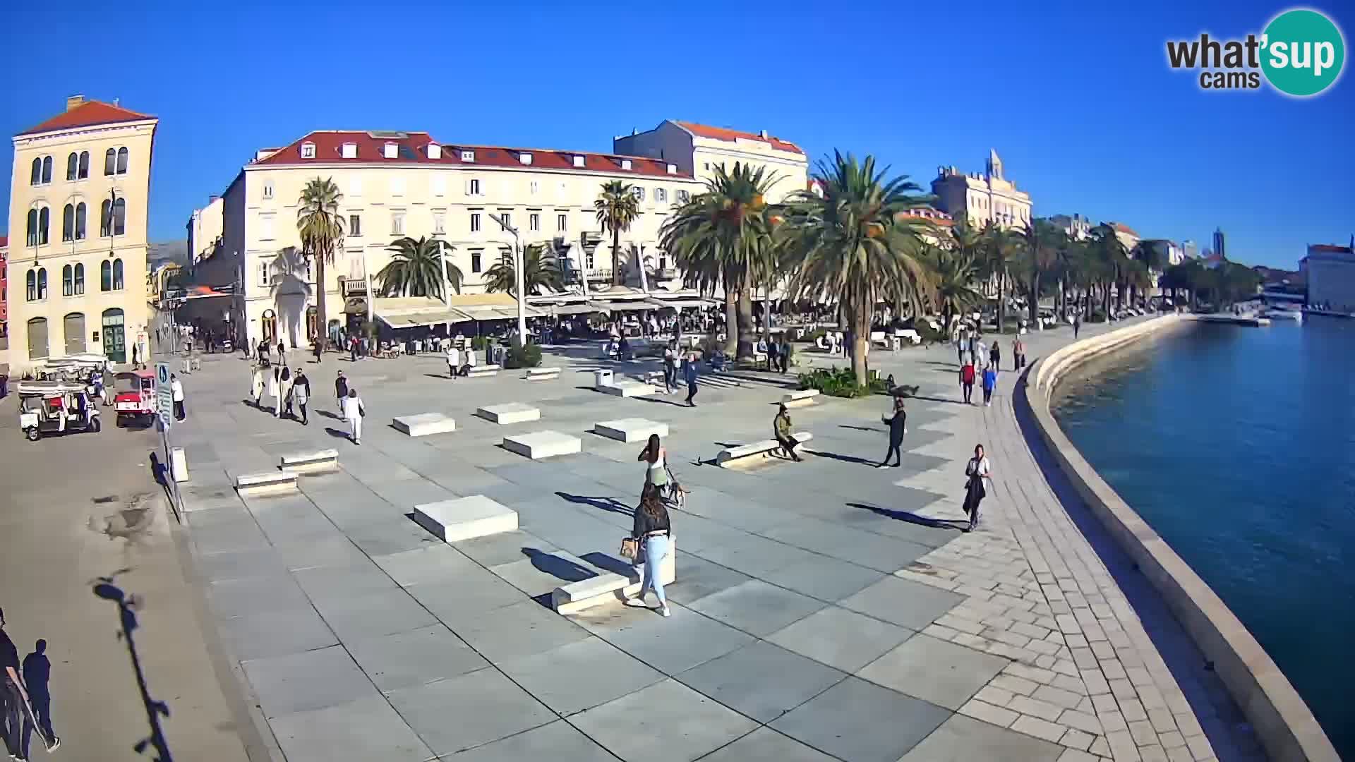 Webcam Split Riva – Prokurative | Trg Republike