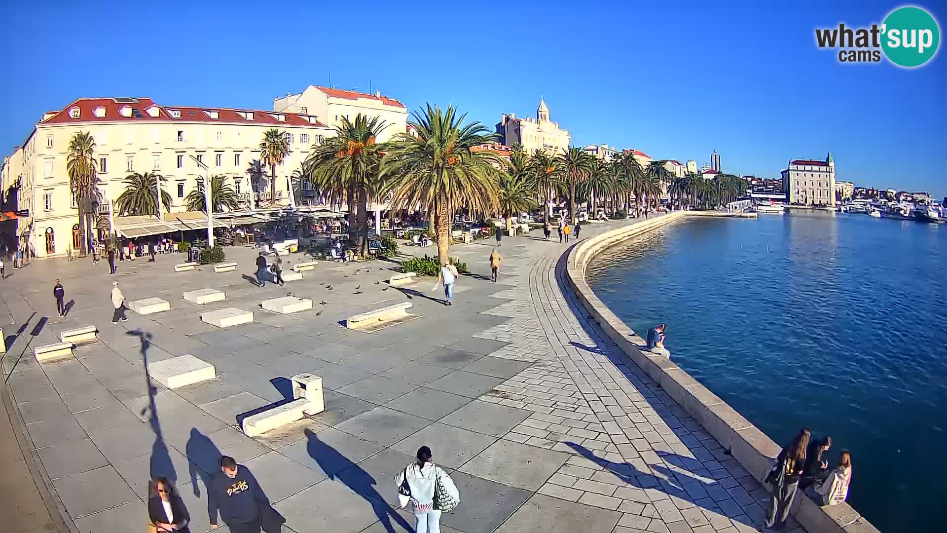 Webcam Split Riva – Prokurative | Trg Republike