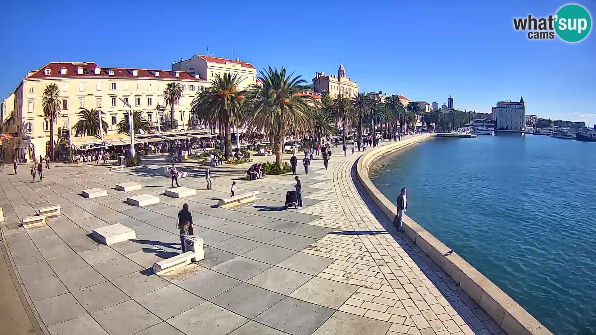 Webcam Split Riva – Prokurative | Trg Republike