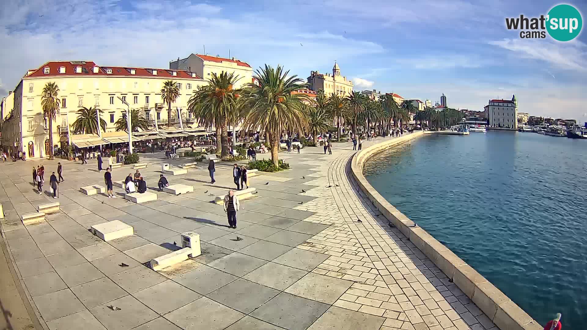 Webcam Split Riva – Prokurative | Trg Republike