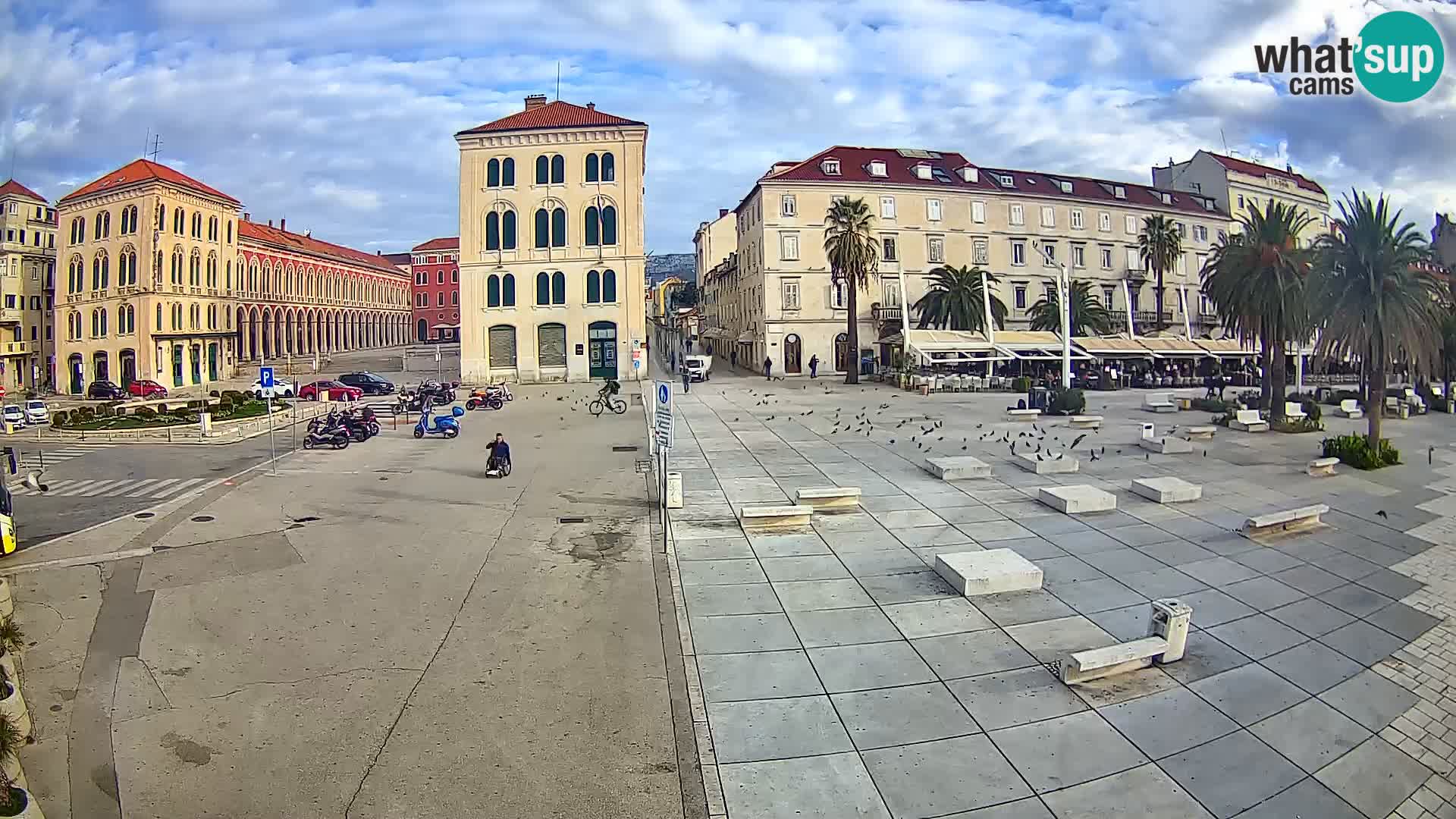 Webcam Split Riva – Prokurative | Trg Republike