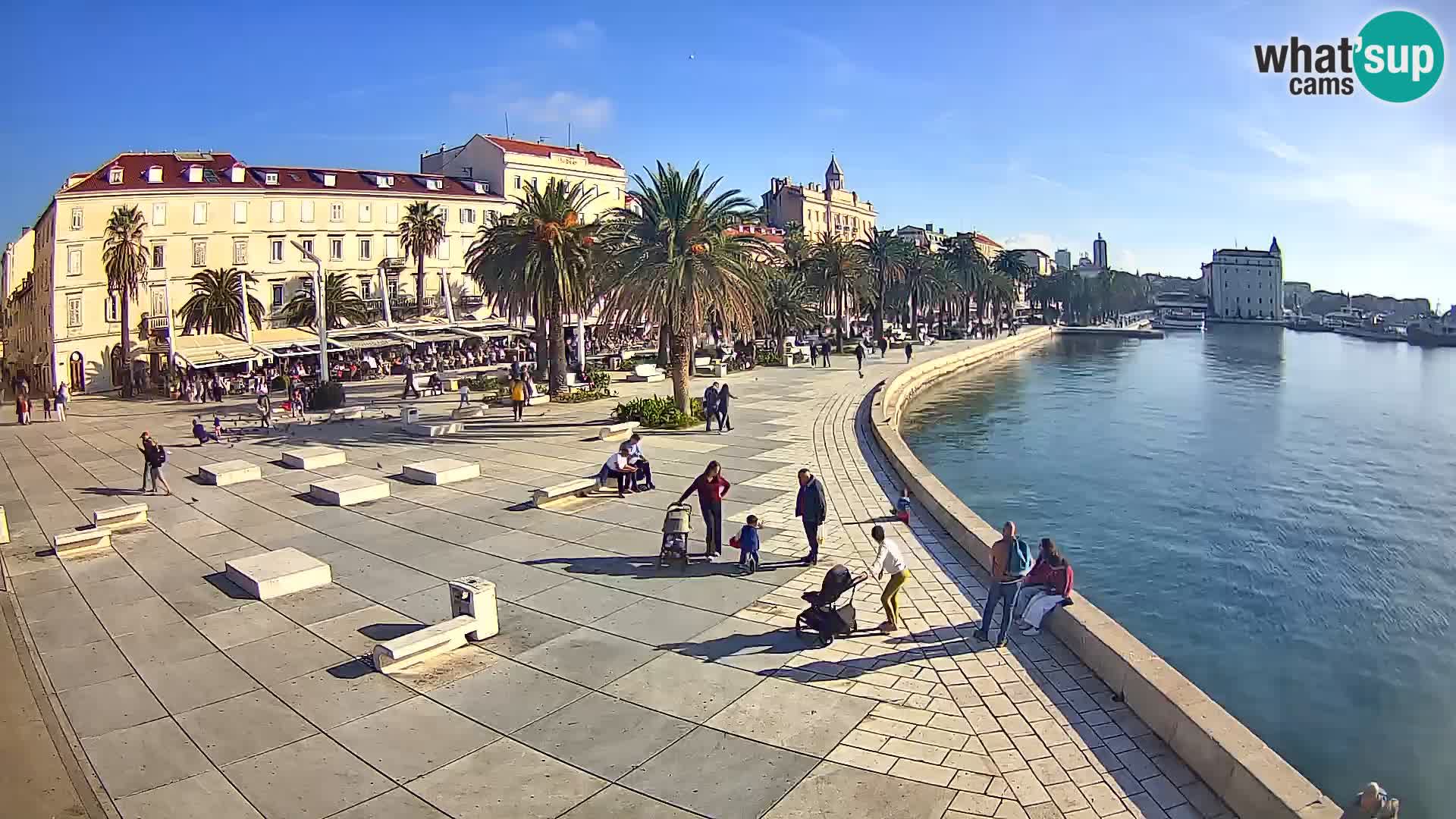 Webcam Split Riva – Prokurative | Trg Republike