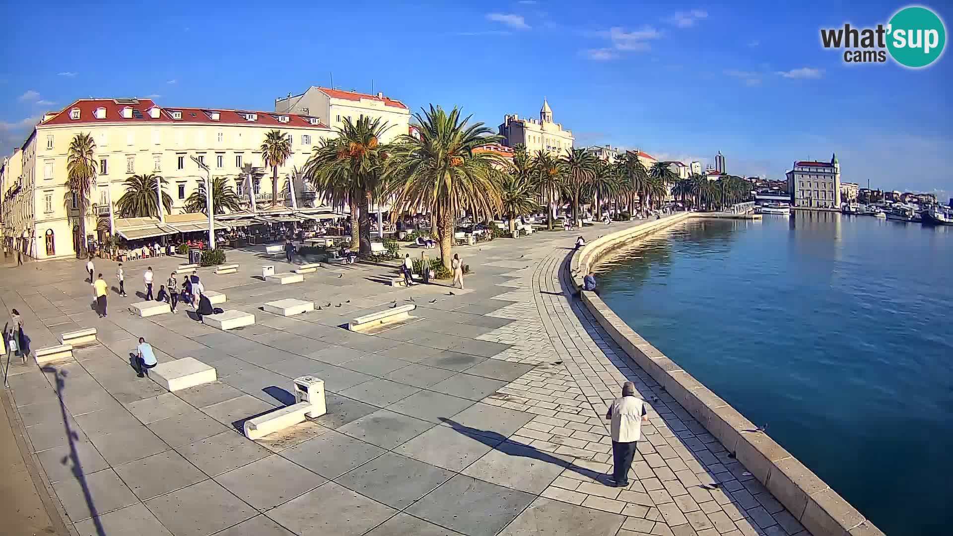 Webcam Split Riva – Prokurative | Trg Republike