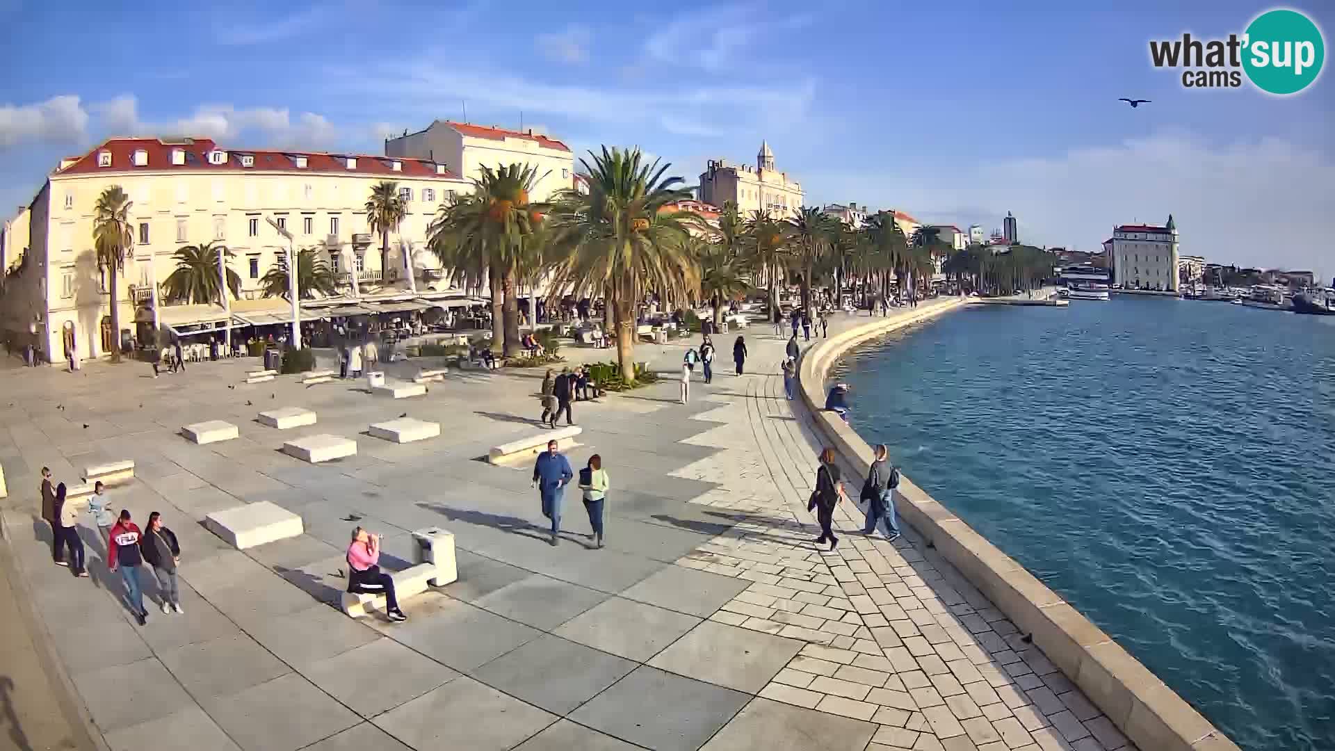 Split kamera Riva – Prokurative | Trg Republike