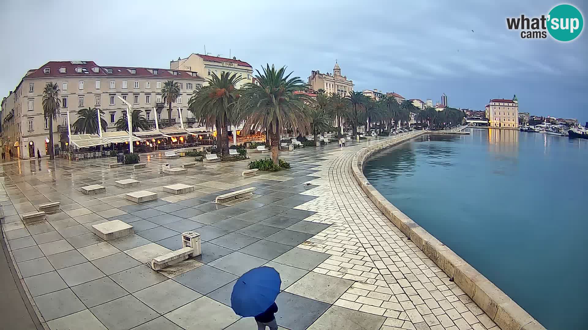 Webcam Split Riva – Prokurative | Trg Republike