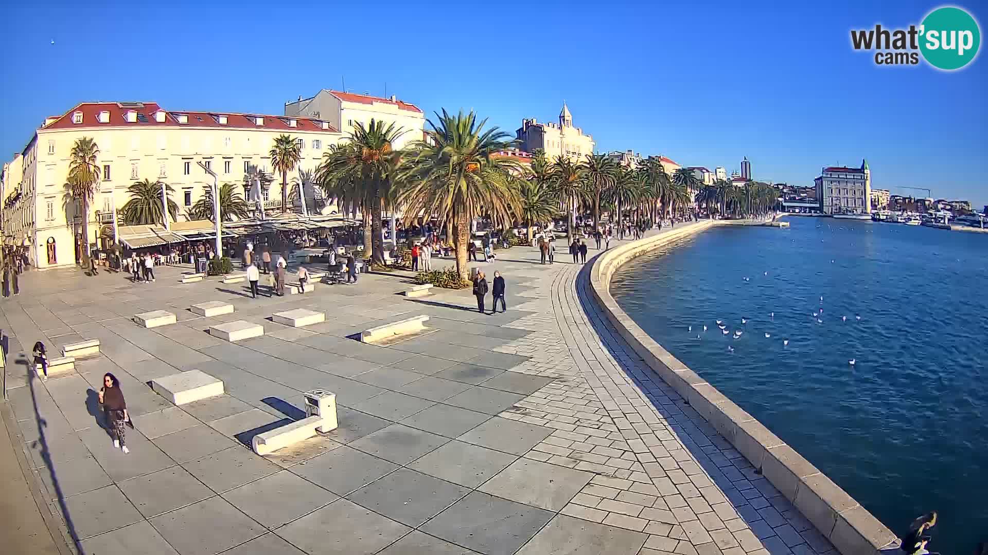 Split kamera Riva – Prokurative | Trg Republike