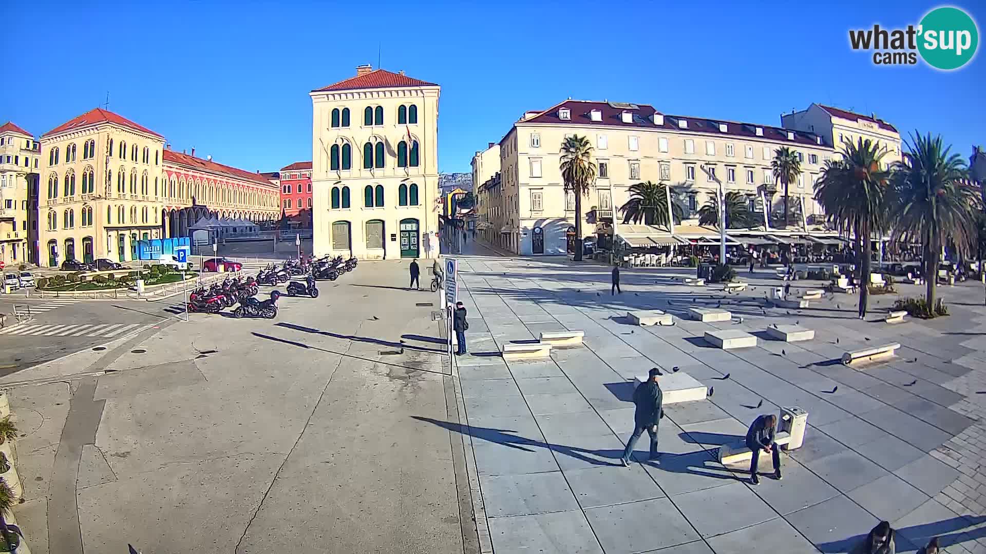 Webcam Split Riva – Prokurative | Trg Republike