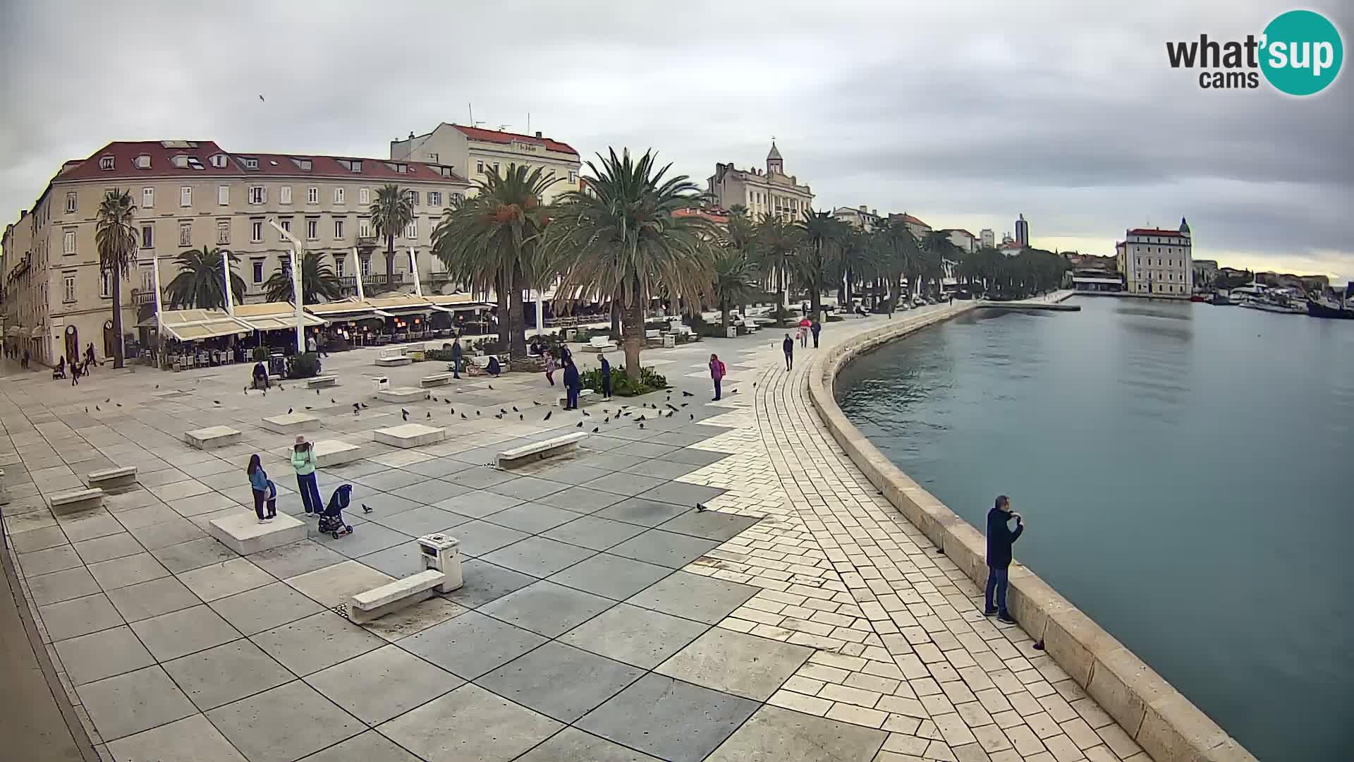 Webcam Split Riva – Prokurative | Trg Republike