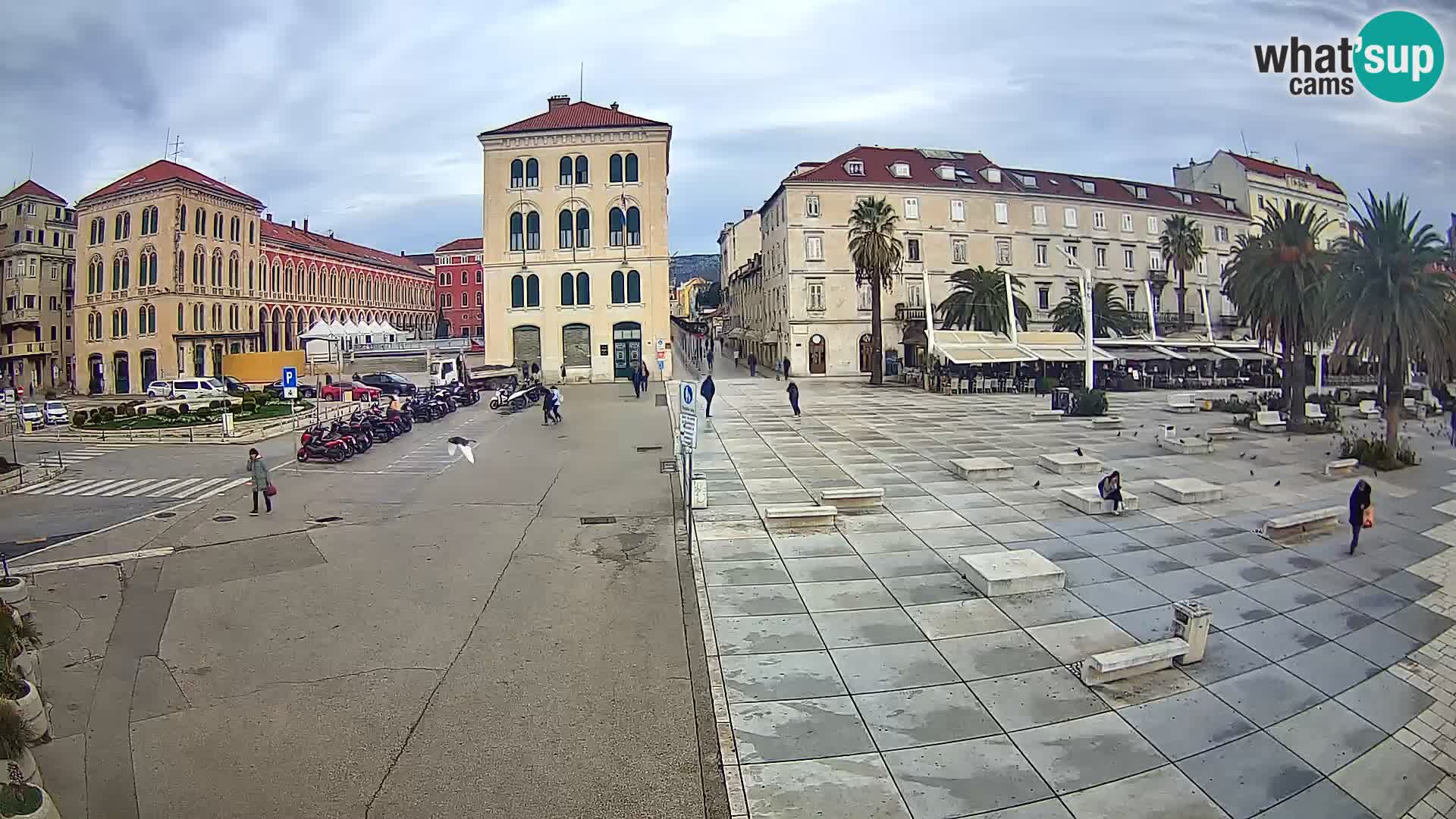 Webcam Split Riva – Prokurative | Trg Republike