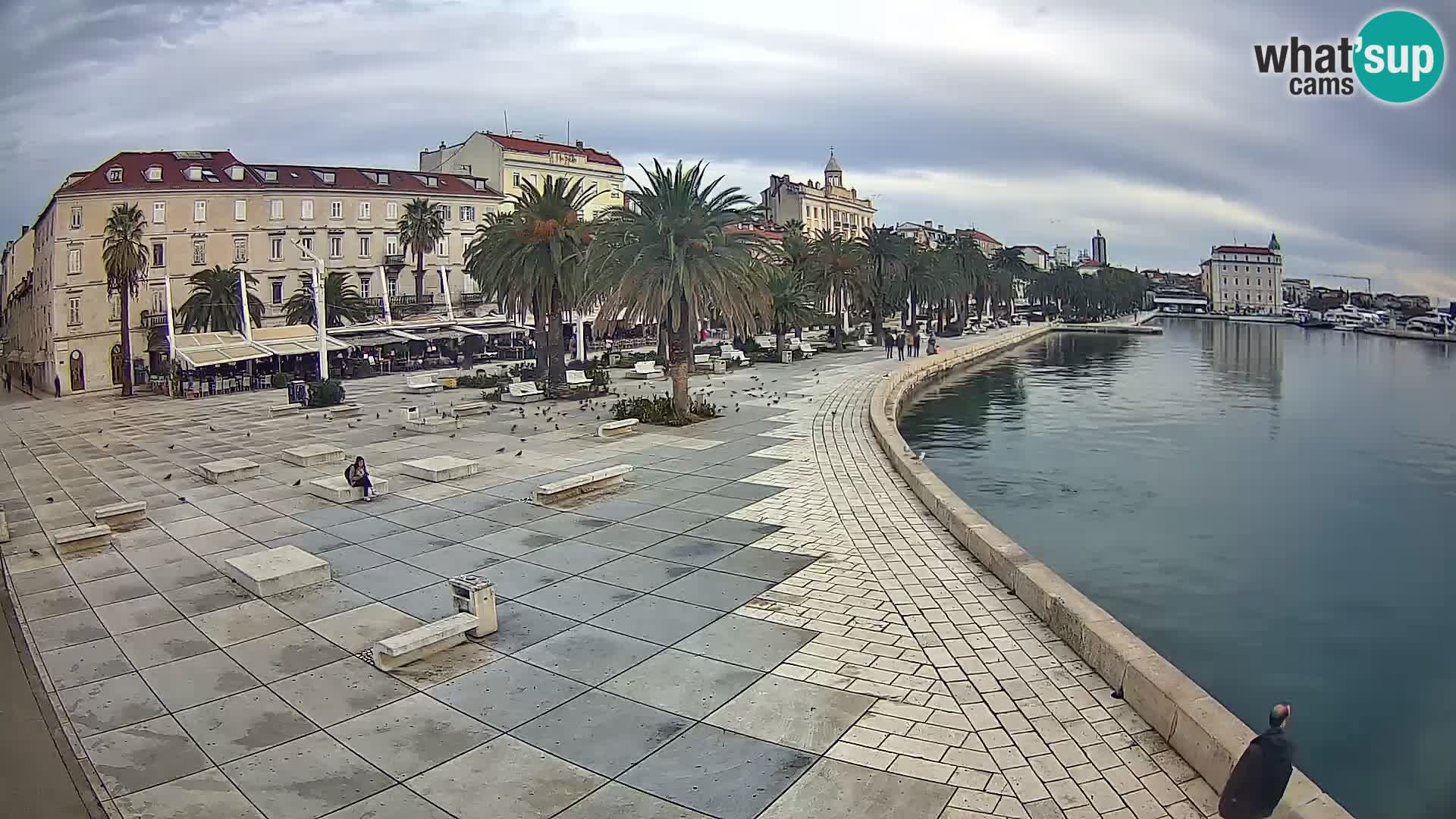 Webcam Split Riva – Prokurative | Trg Republike