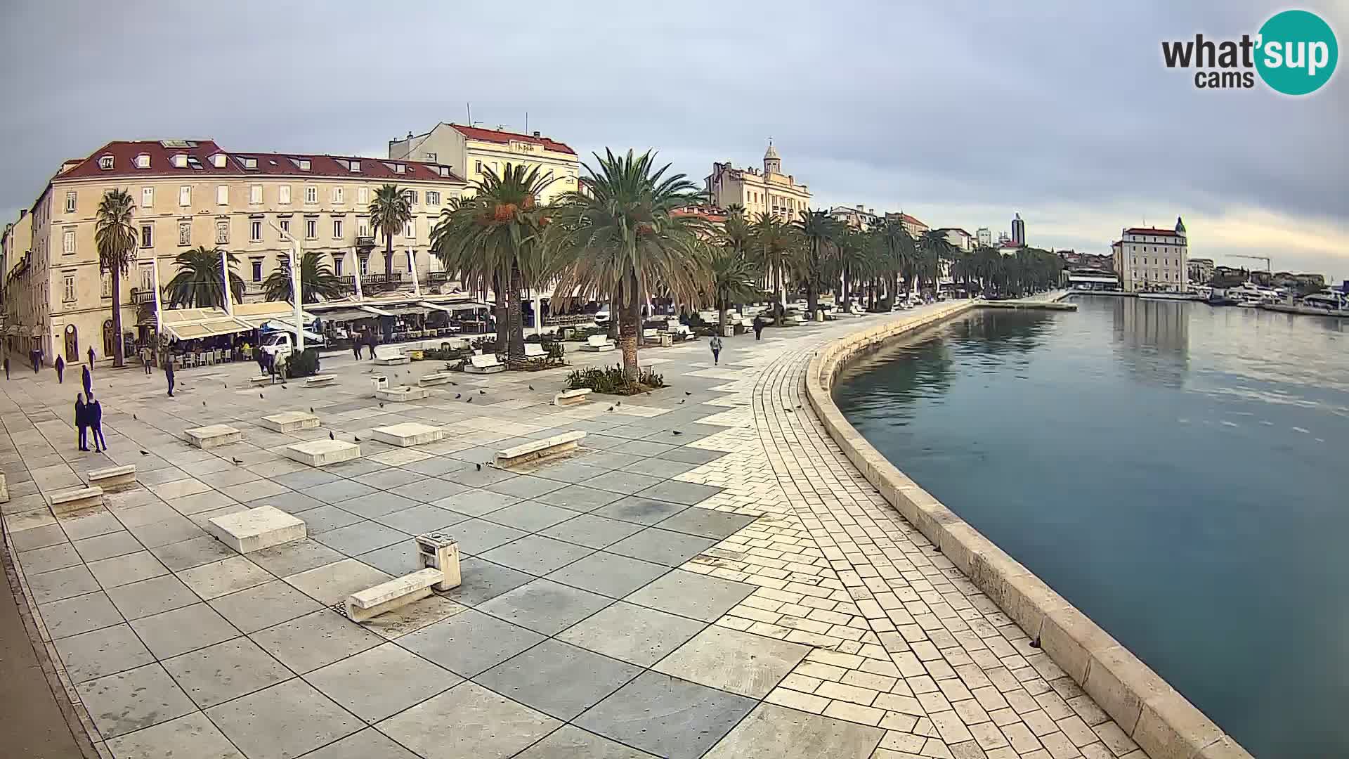 Webcam Split Riva – Prokurative | Trg Republike