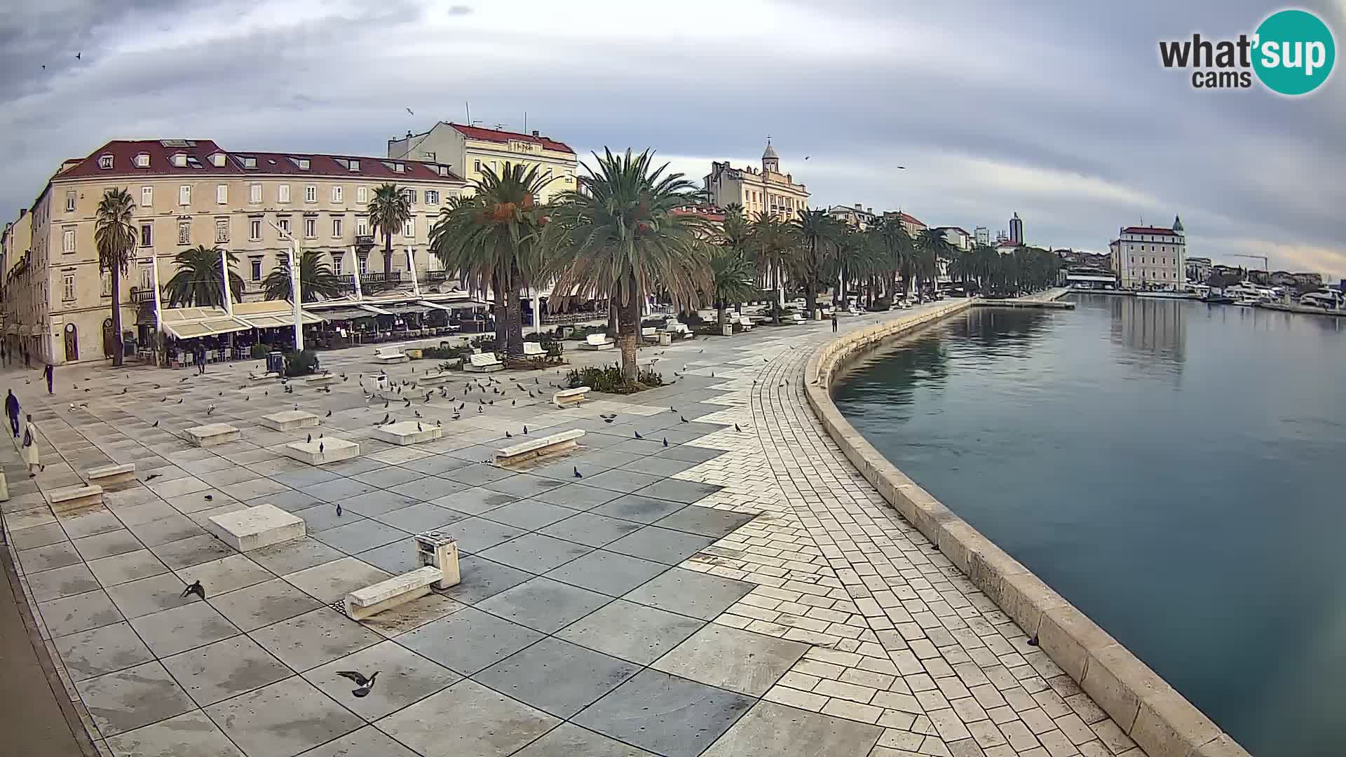 Webcam Split Riva – Prokurative | Trg Republike