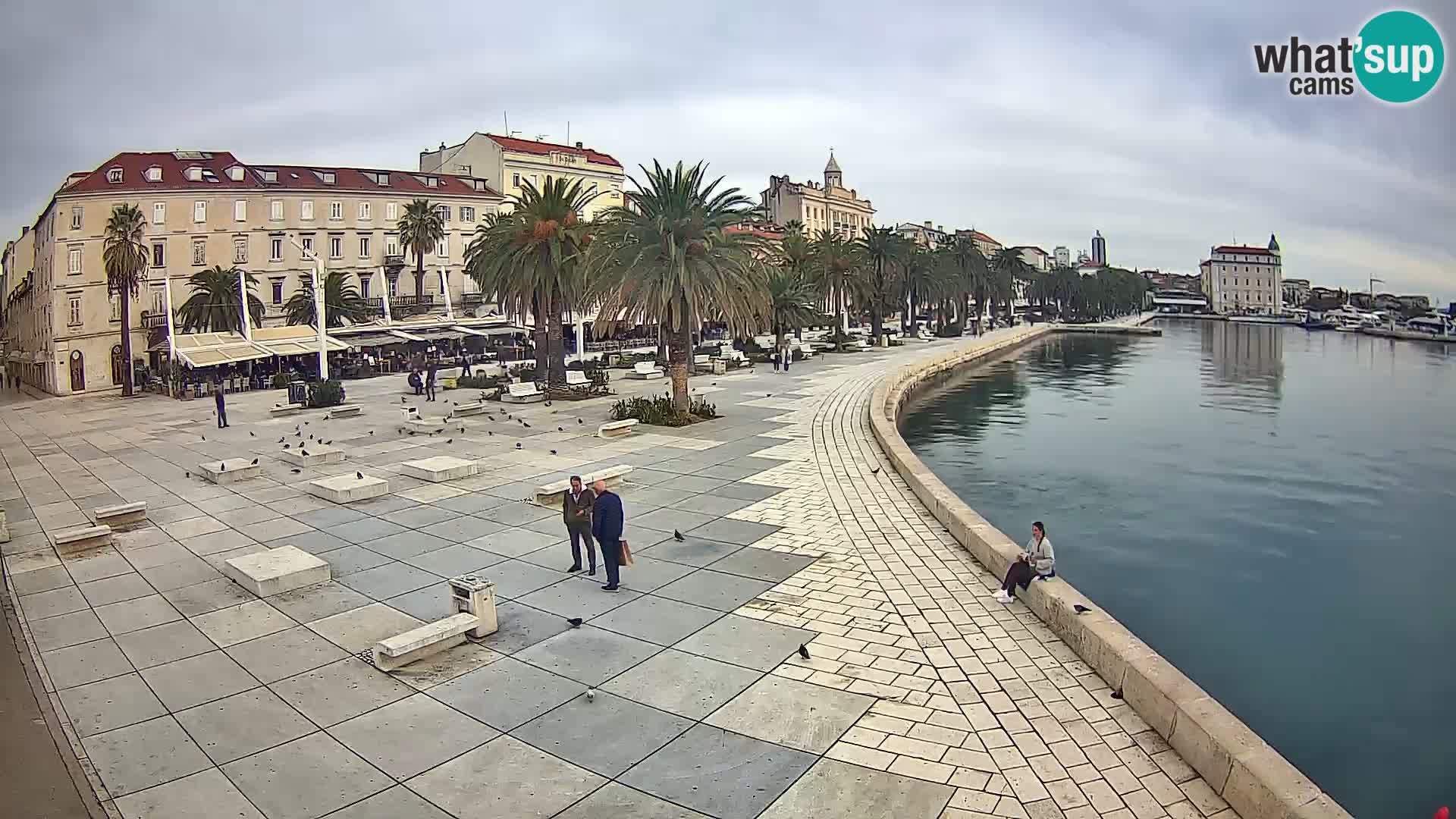 Webcam Split Riva – Prokurative | Trg Republike