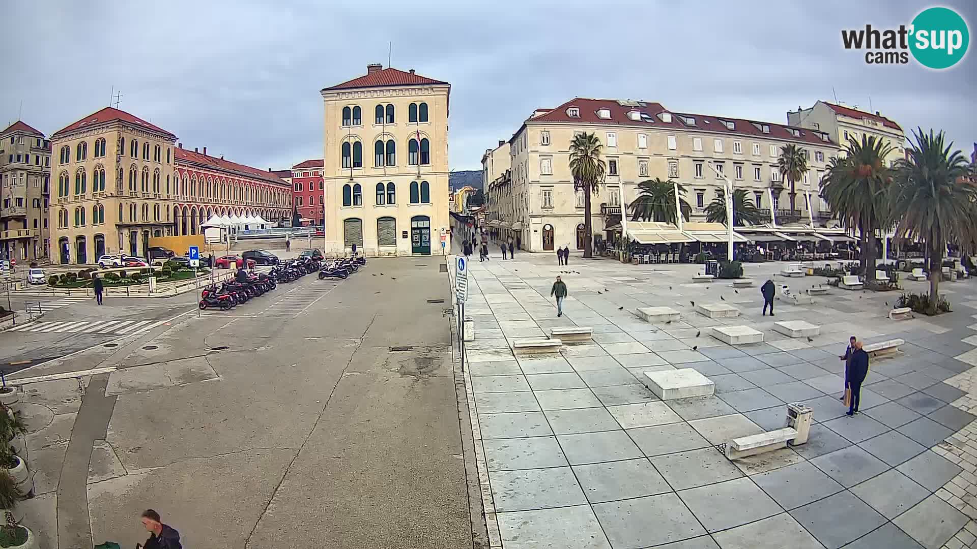 Webcam Split Riva – Prokurative | Trg Republike
