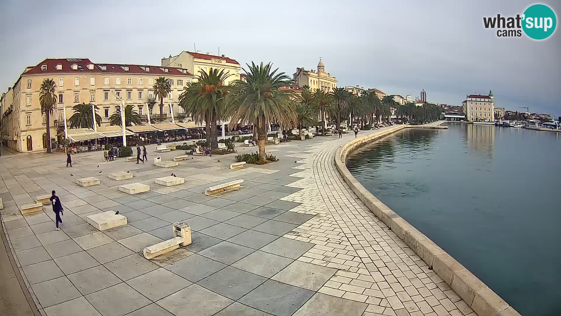 Webcam Split Riva – Prokurative | Trg Republike