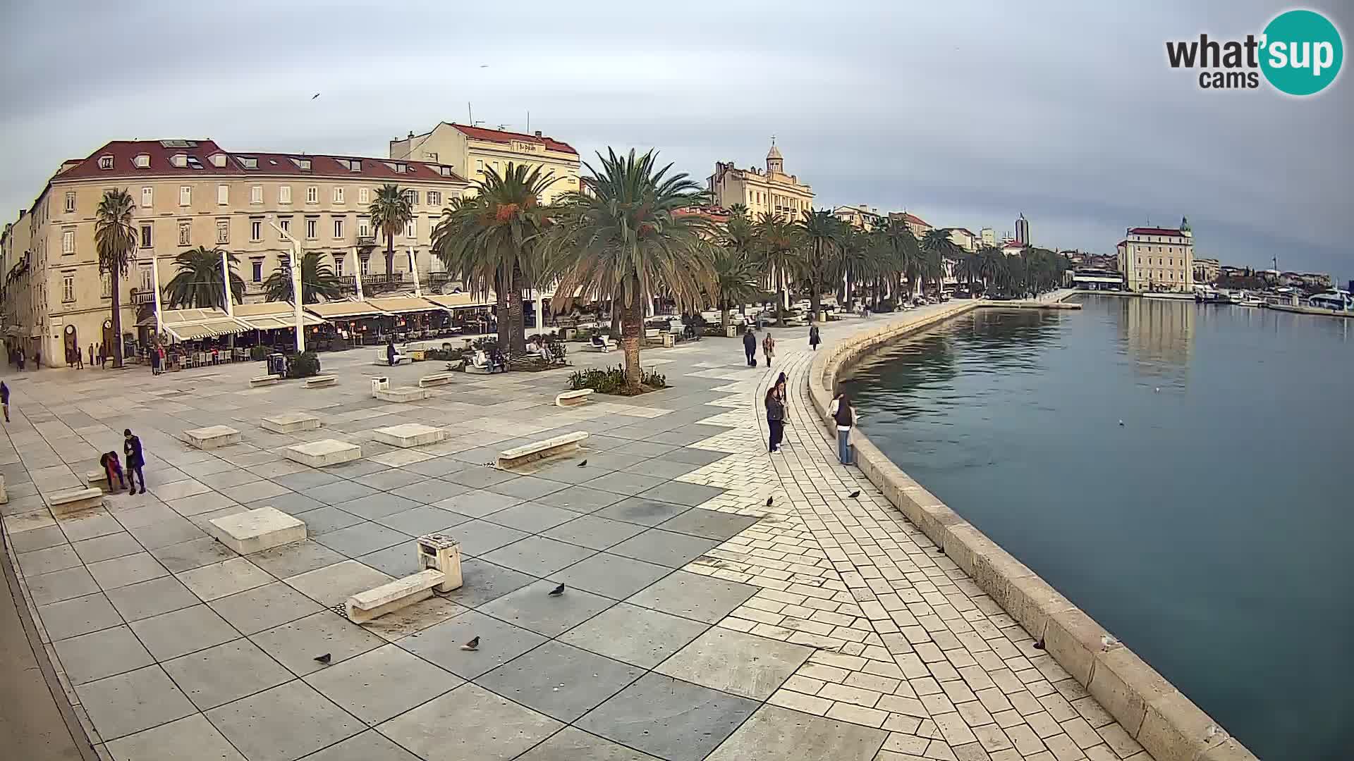 Webcam Split Riva – Prokurative | Trg Republike