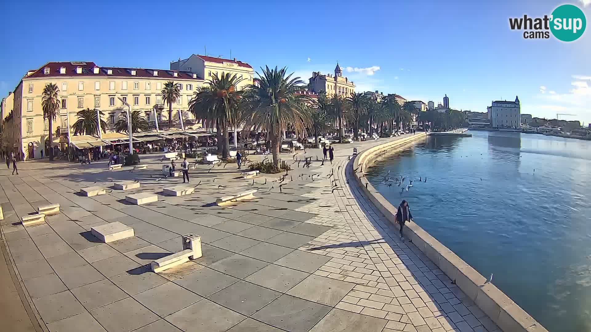 Webcam Split Riva – Prokurative | Trg Republike