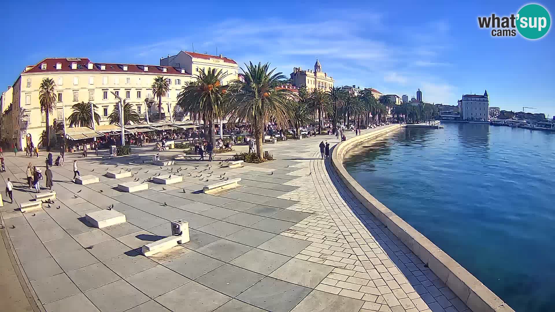 Webcam Split Riva – Prokurative | Plaza de la República