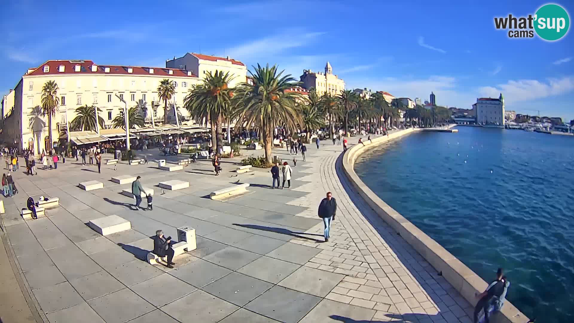 Webcam Split Riva – Prokurative | Trg Republike