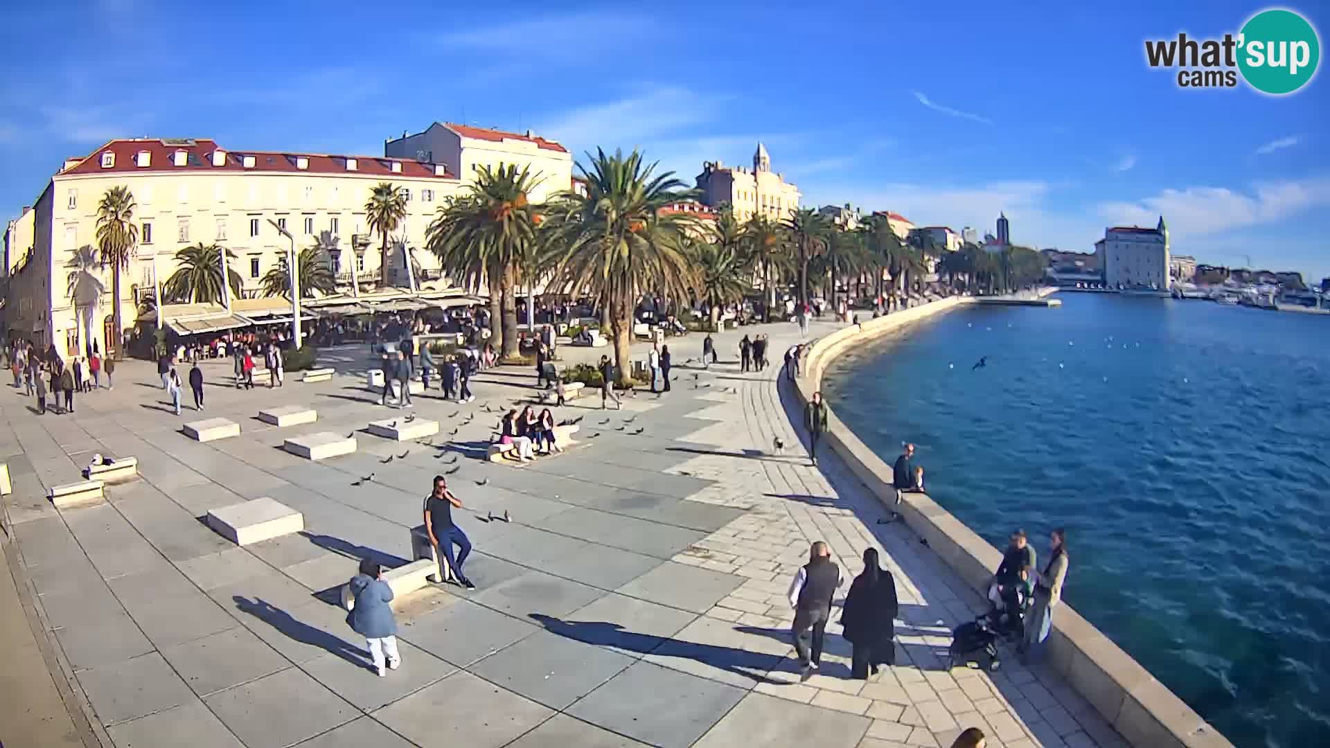 Webcam Split Riva – Prokurative | Trg Republike