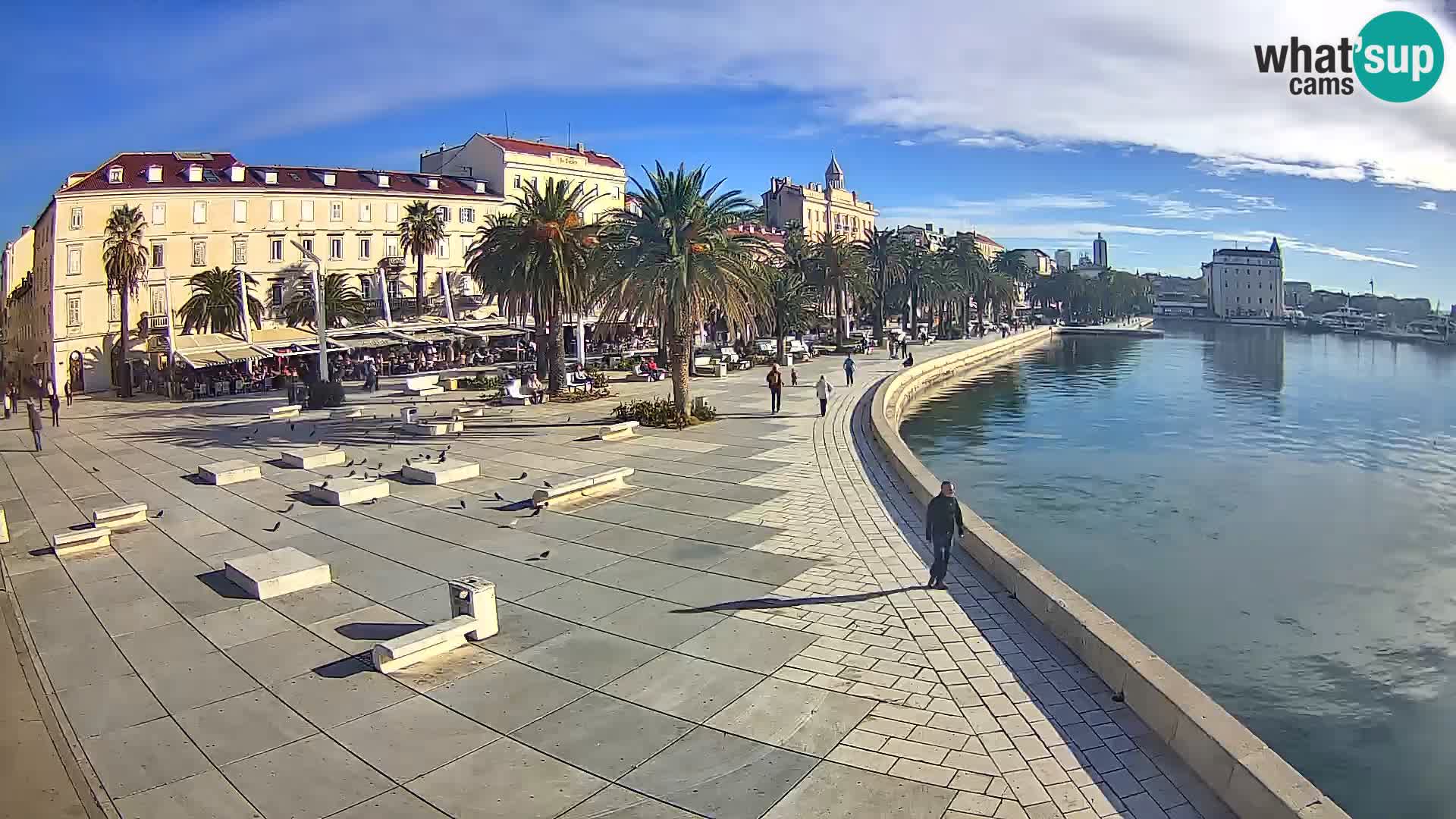 Webcam Split Riva – Prokurative | Trg Republike