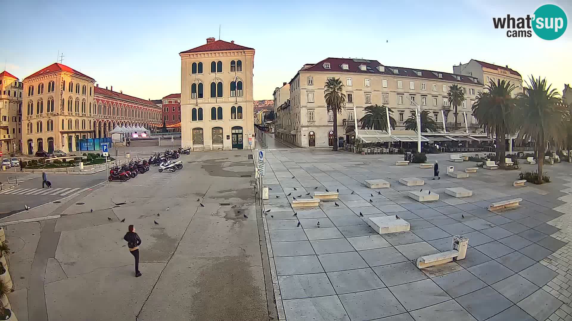 Webcam Split Riva – Prokurative | Trg Republike