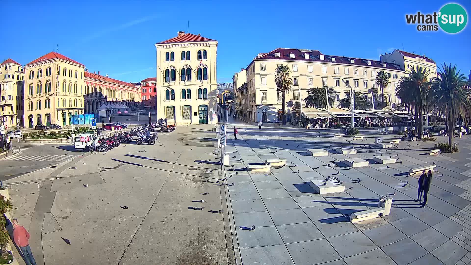 Webcam Split Riva – Prokurative | Trg Republike
