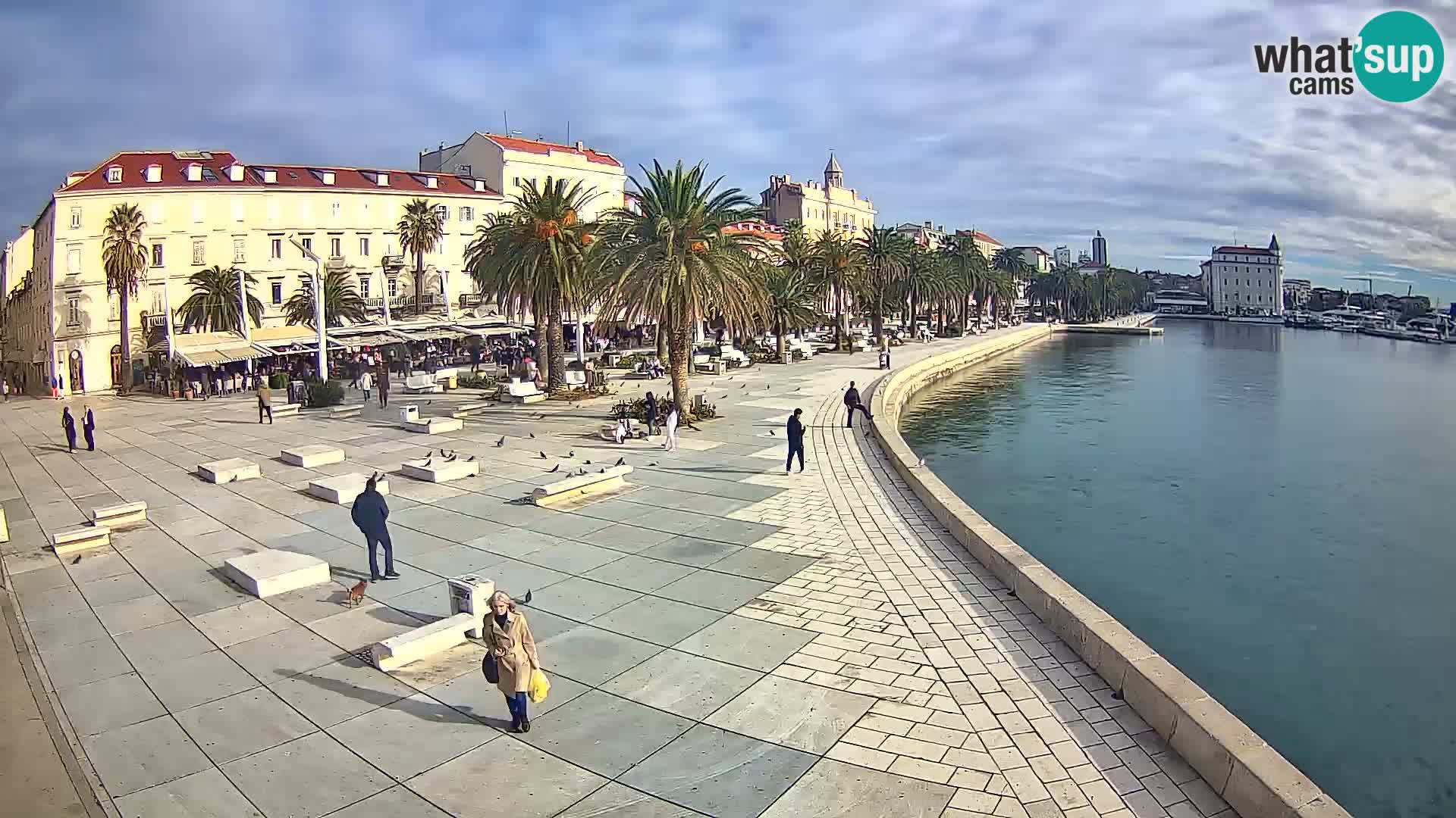 Webcam Split Riva – Prokurative | Trg Republike