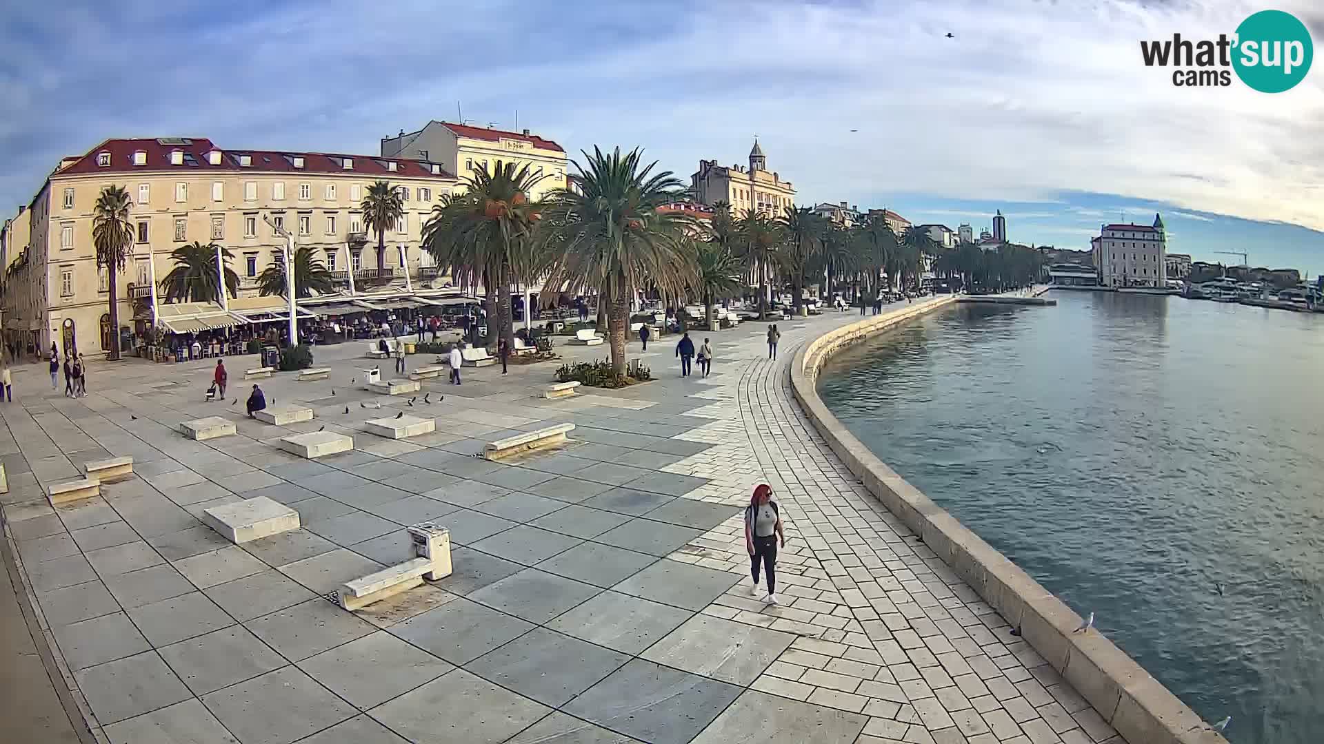 Webcam Spalato Riva – Prokurative | Piazza della Republika