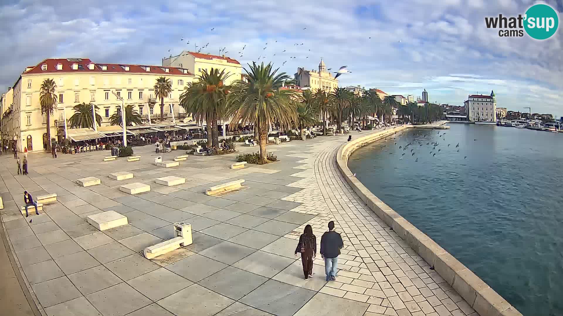 Webcam Split Riva – Prokurative | Trg Republike