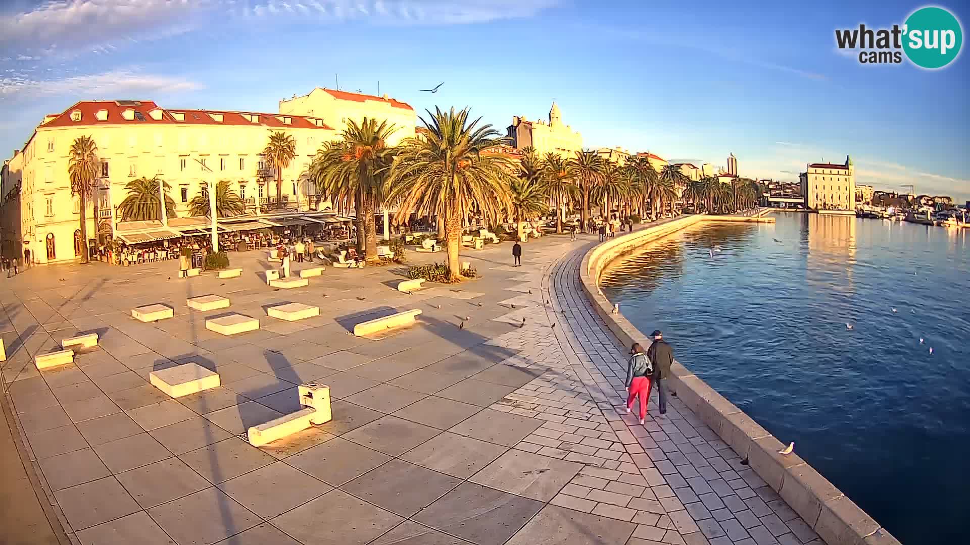 Webcam Split Riva – Prokurative | Trg Republike