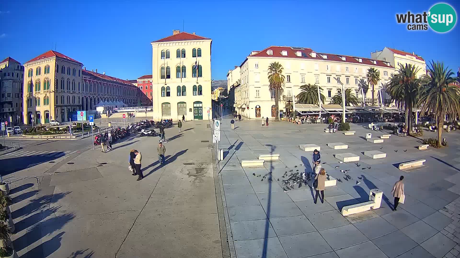 Webcam Split Riva – Prokurative | Trg Republike