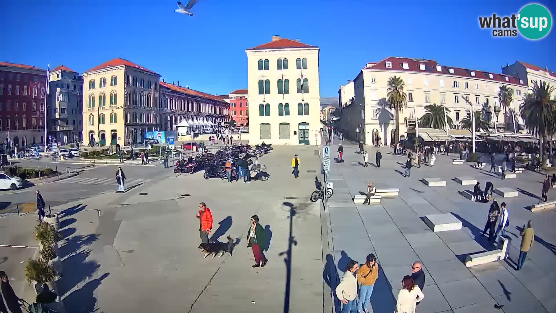 Webcam Spalato Riva – Prokurative | Piazza della Republika