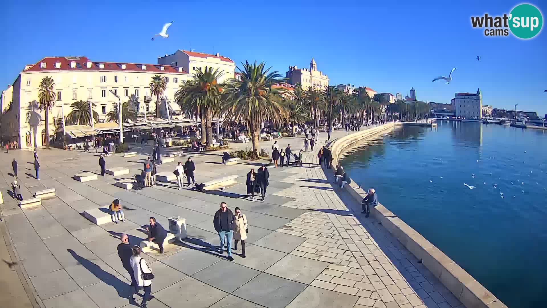 Split kamera Riva – Prokurative | Trg Republike