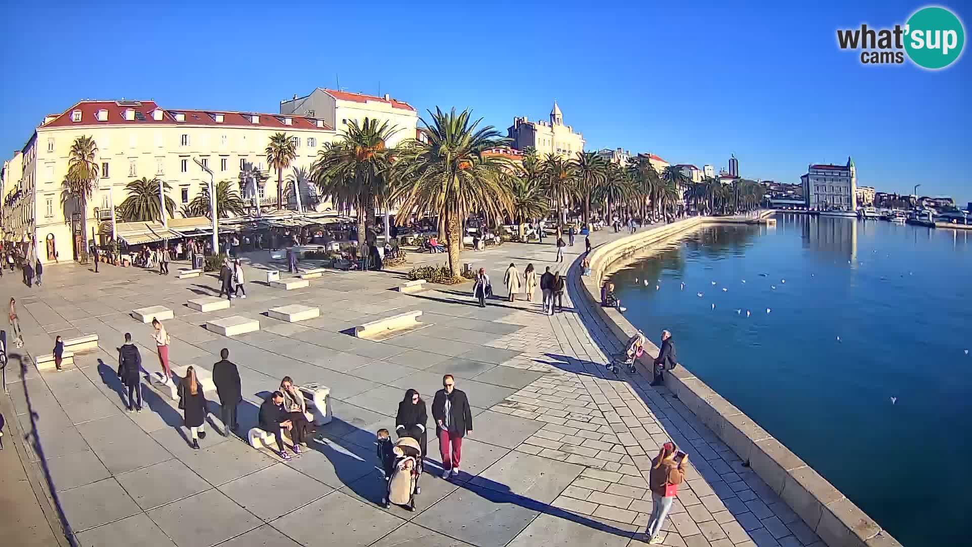 Webcam Split Riva – Prokurative | Trg Republike