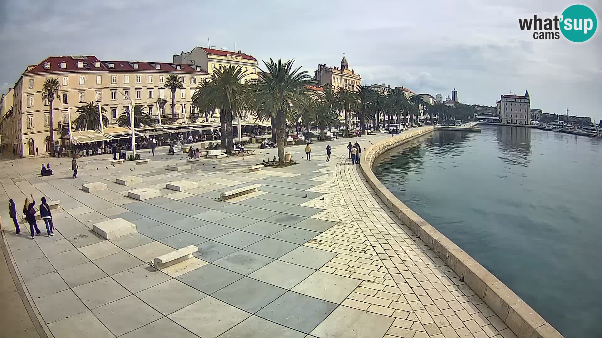 Webcam Split Riva – Prokurative | Trg Republike