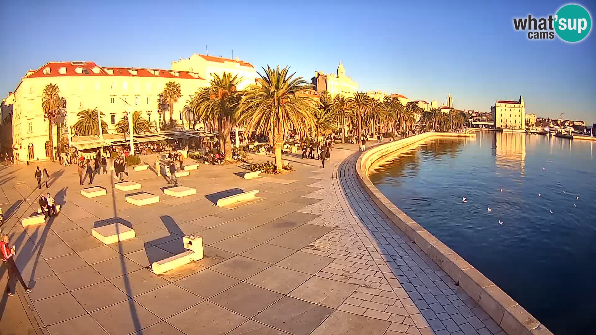 Webcam Split Riva – Prokurative | Trg Republike