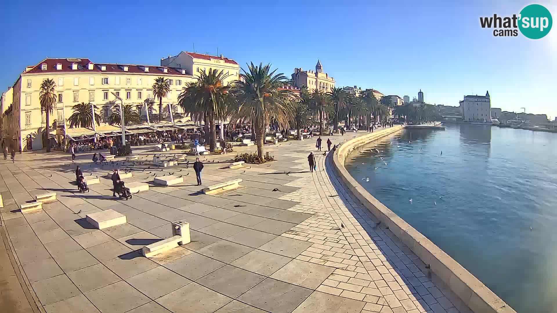 Live kamera Split Riva – Prokurative | Trg Republike