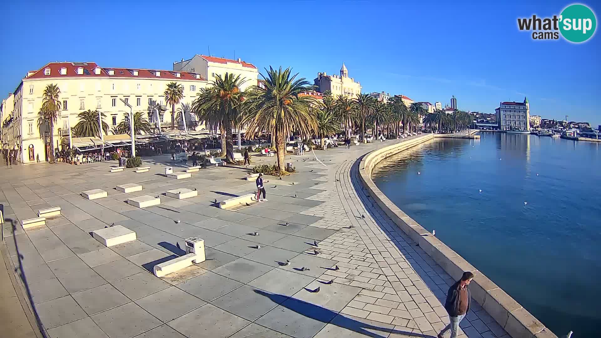 Webcam Spalato Riva – Prokurative | Piazza della Republika