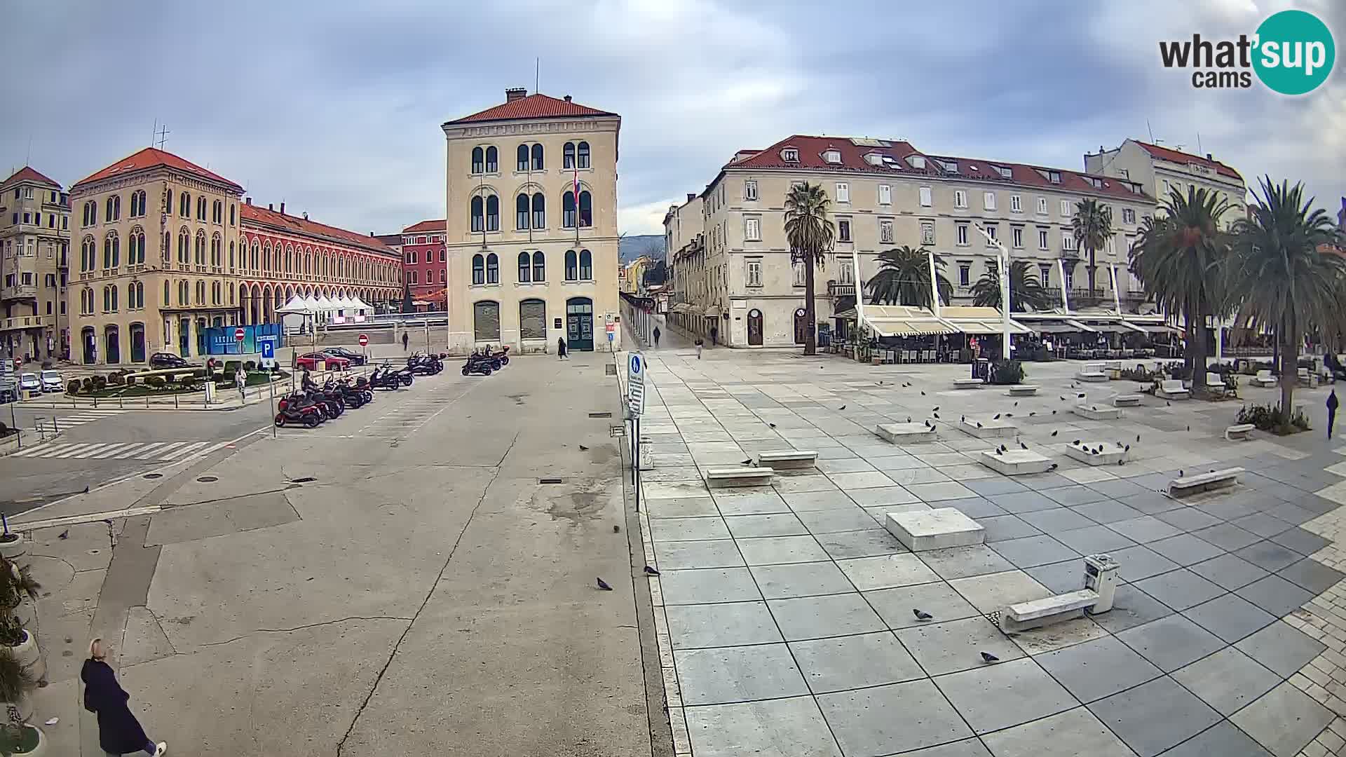 Webcam Split Riva – Prokurative | Trg Republike