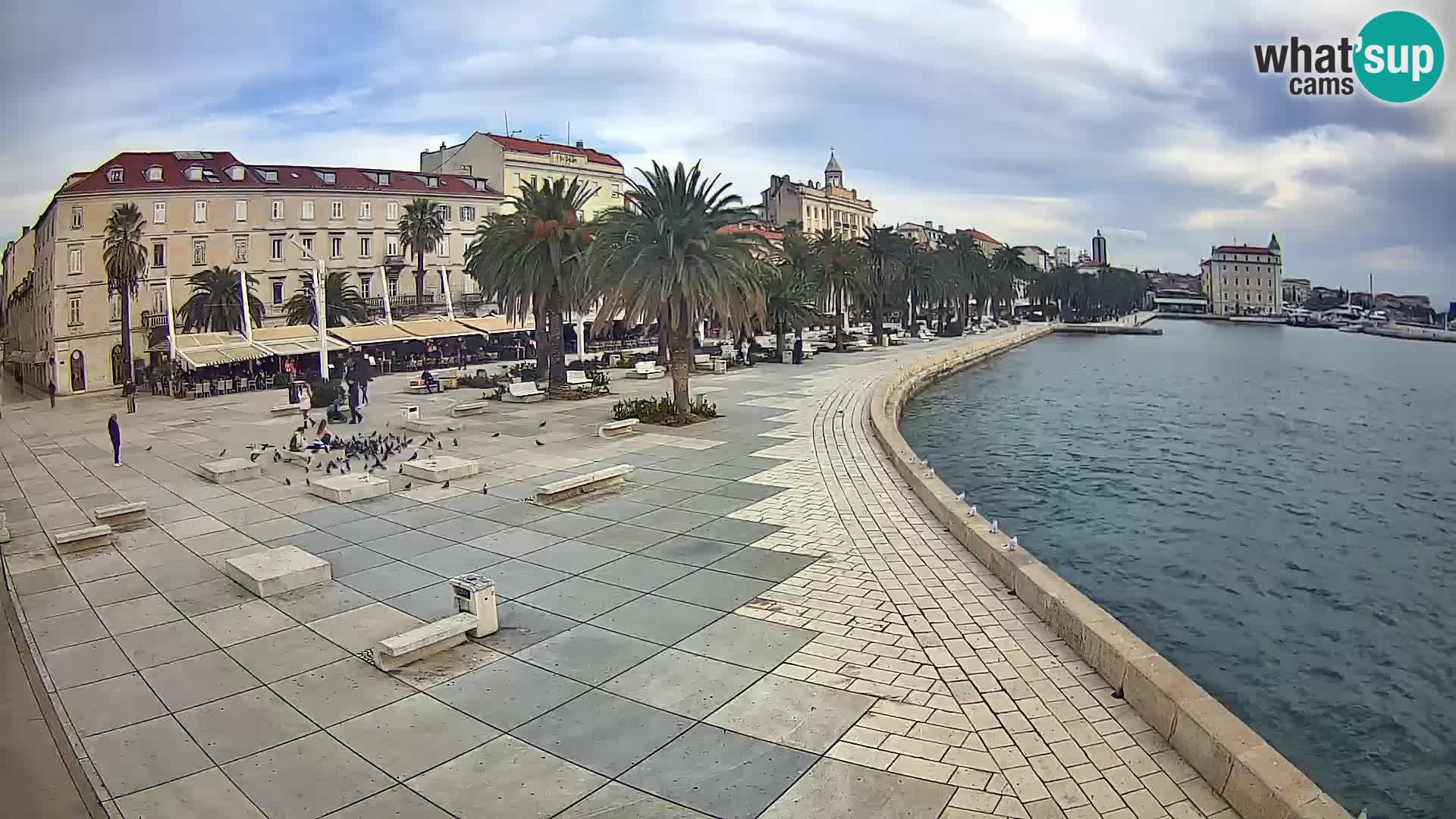 Webcam Split Riva – Prokurative | Trg Republike