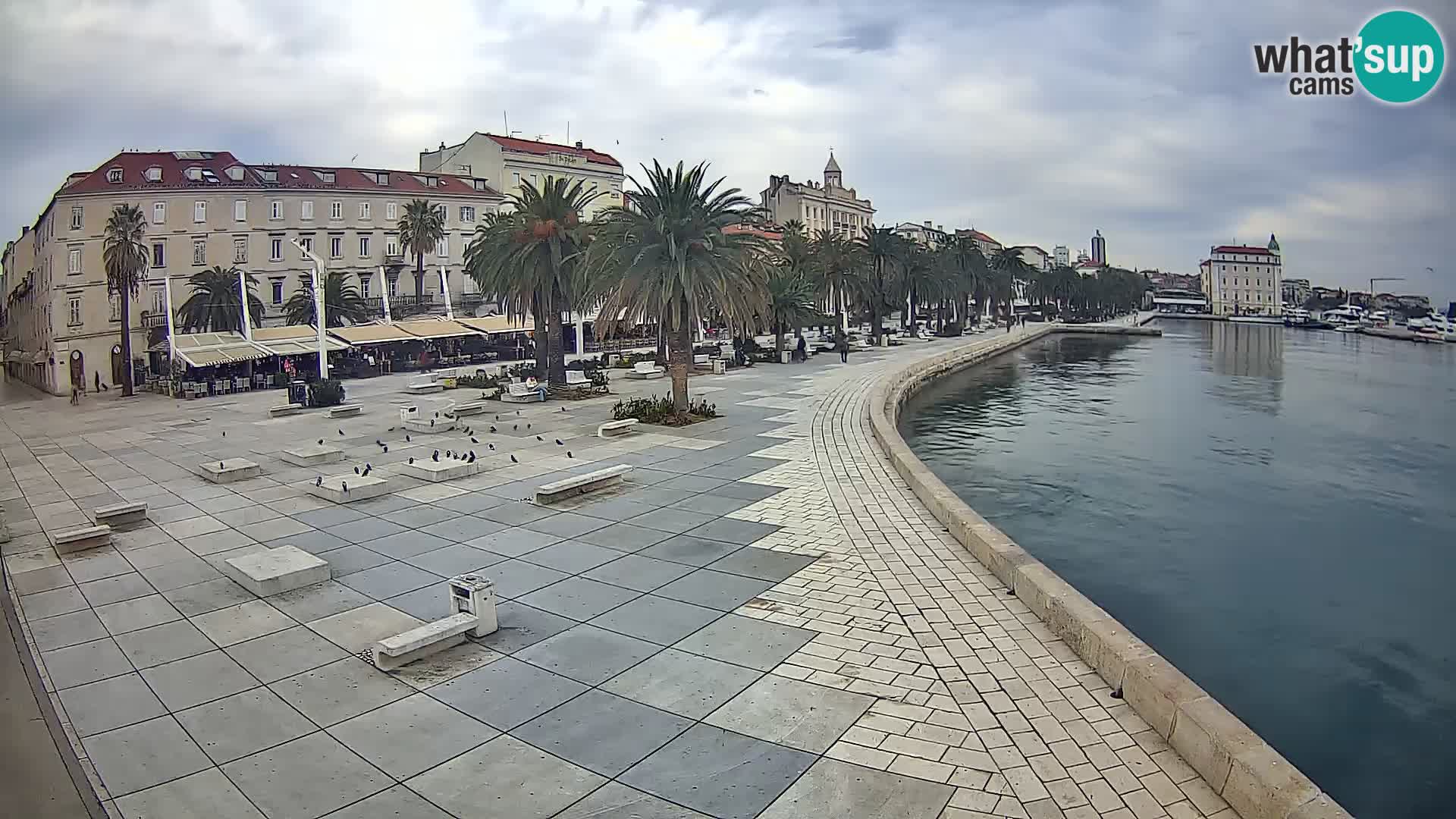 Webcam Split Riva – Prokurative | Trg Republike
